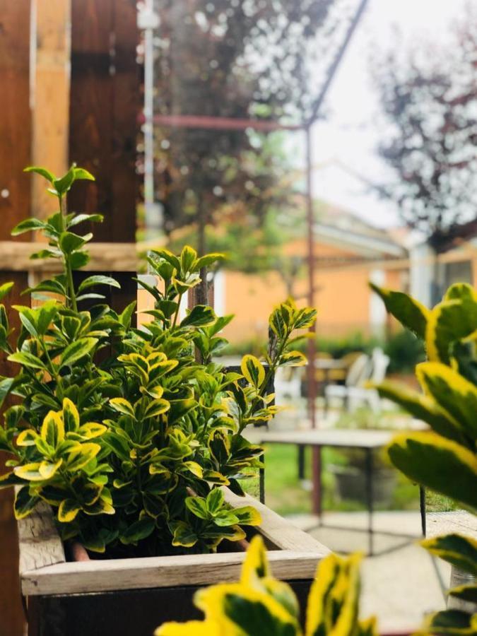 Dolce Nera B&B Narni Scalo Exterior photo